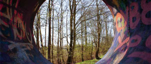 Public Mental Health.png